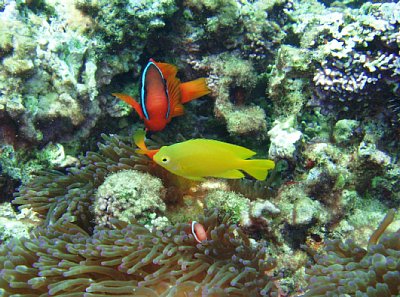 10月10日　秦魚達.jpg